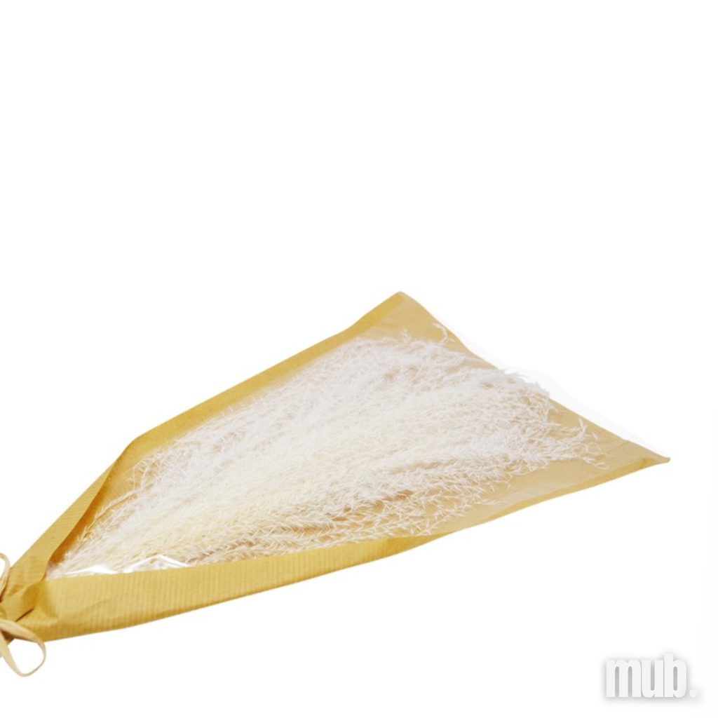 Bouquet de pampas 